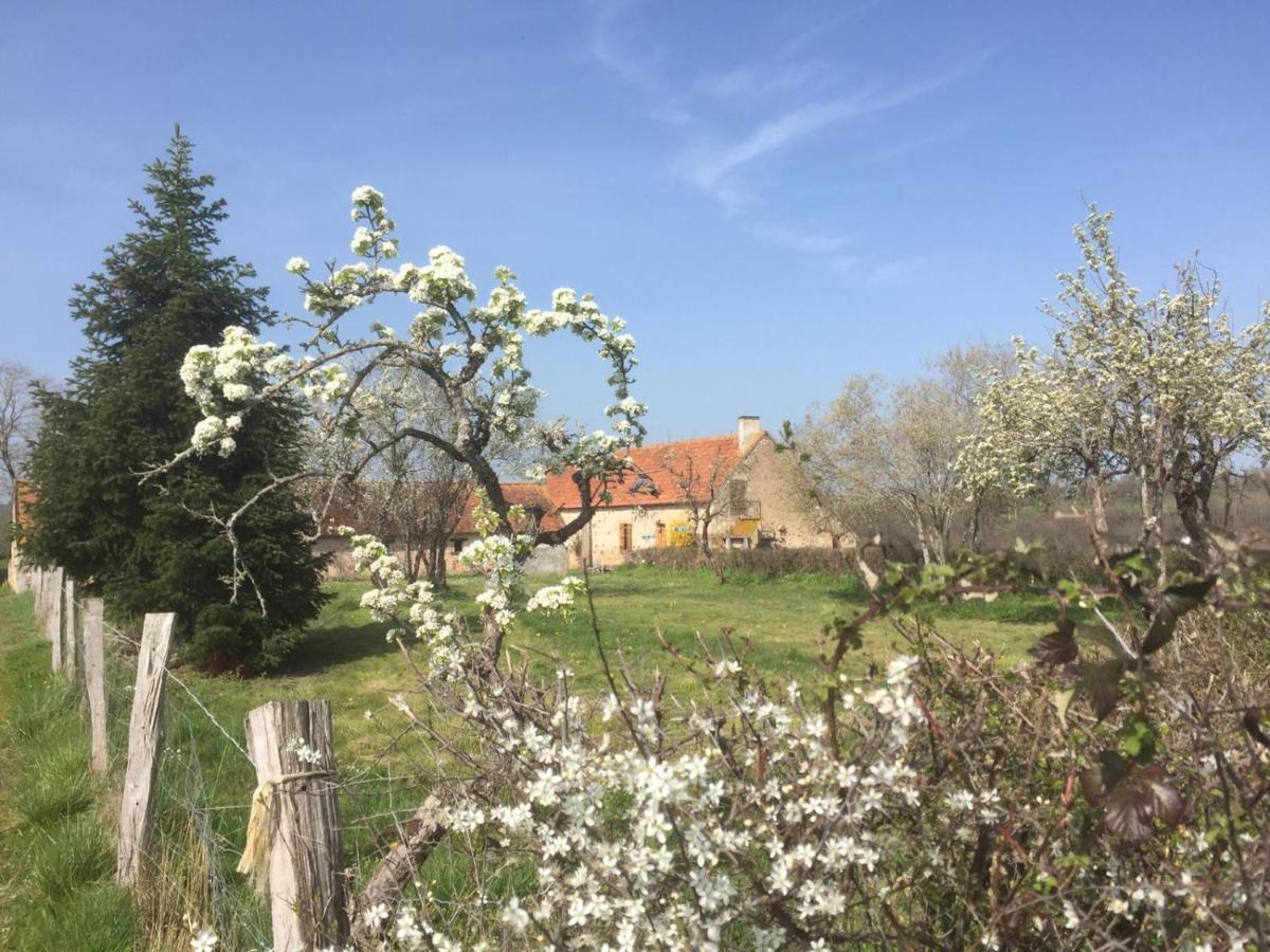 Chambres D'Hotes Domaine Les Grands Perons Herisson Экстерьер фото